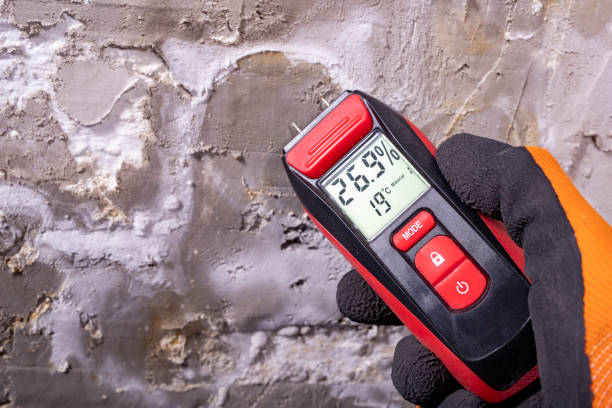 Best Office Mold Removal Services  in Callaway, FL